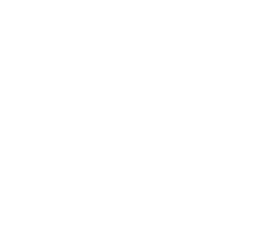  Social Media Advertising